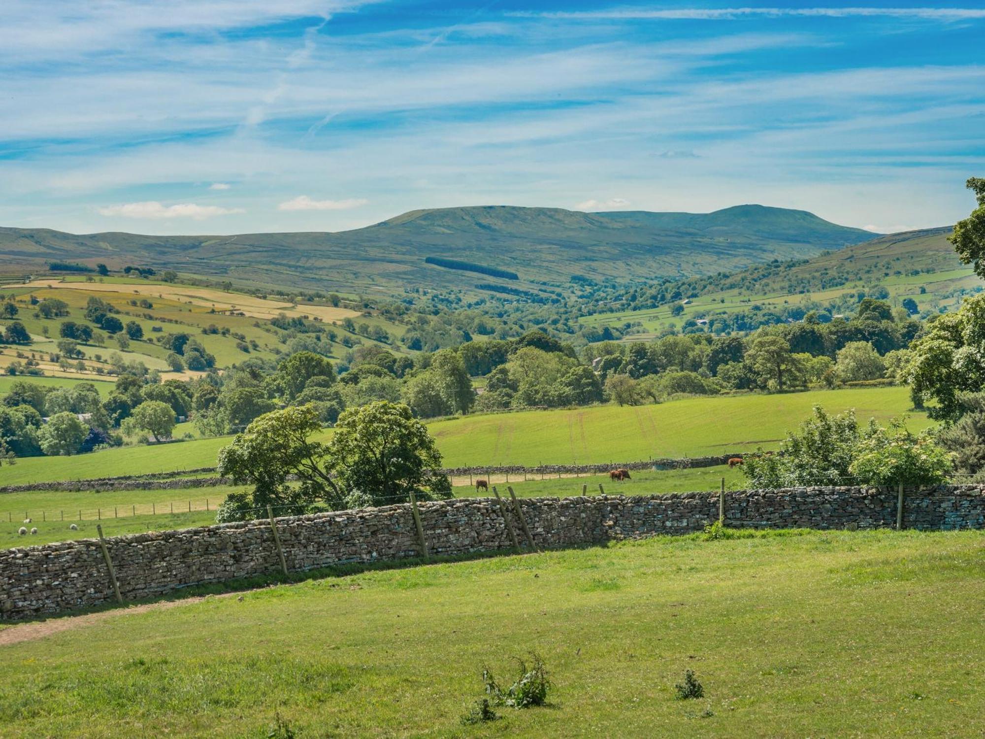 Town Head Cottage Carlton (Richmondshire) Exterior foto
